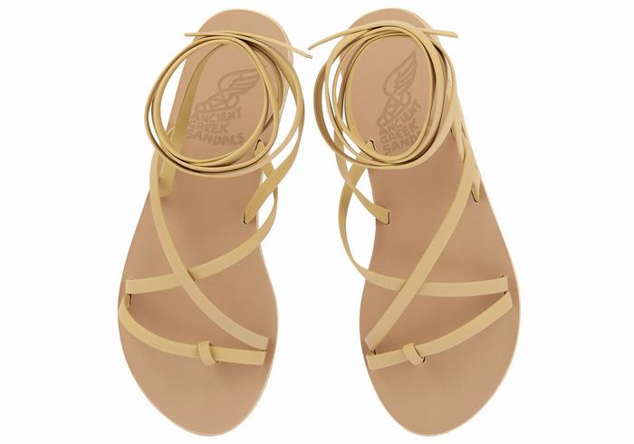 Sandales De Gladiateur Ancient Greek Sandals Morfi Leather   | TNF-8222136